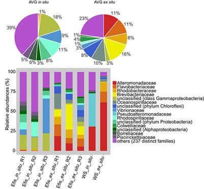 Distinct Bacterial Microbiomes Associate with the Deep-Sea Coral Eguchipsammia fistula from the Red Sea and from Aquaria Settings